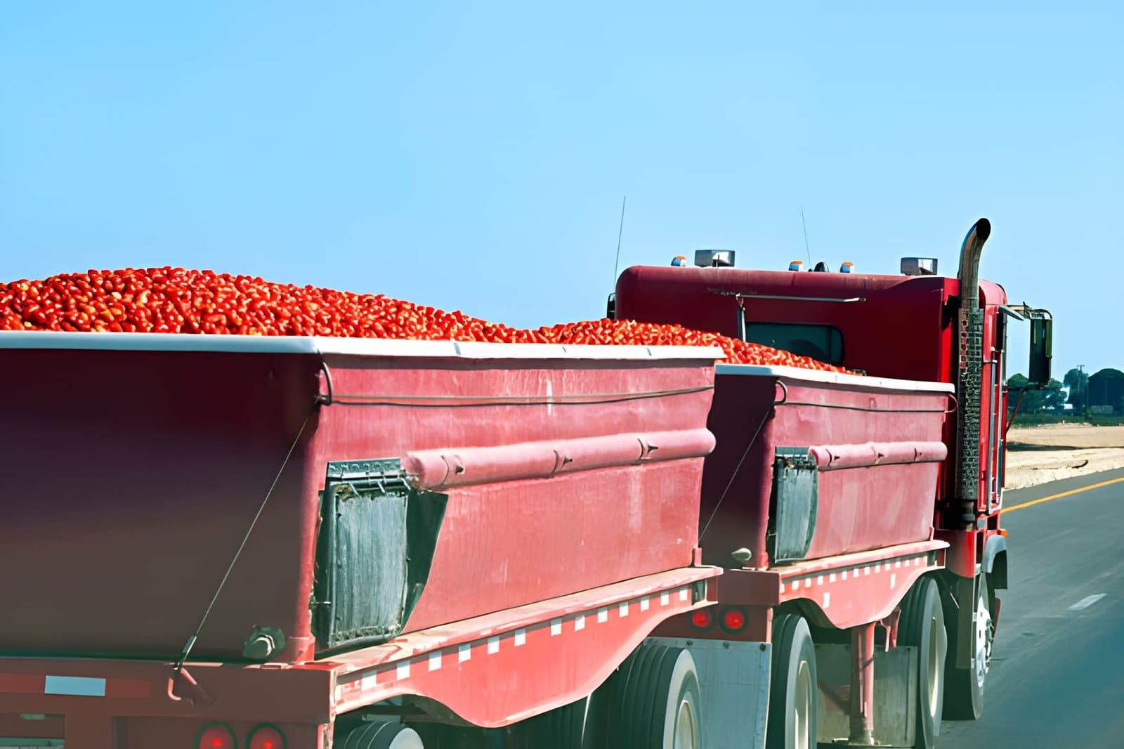 Crop Export